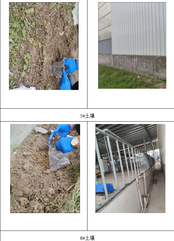 &#38886;&#24503;&#32593;&#31449;&#45;&#40;&#20013;&#22269;&#41;&#26377;&#38480;&#36131;&#20219;&#38886;&#24503;&#32593;&#31449;